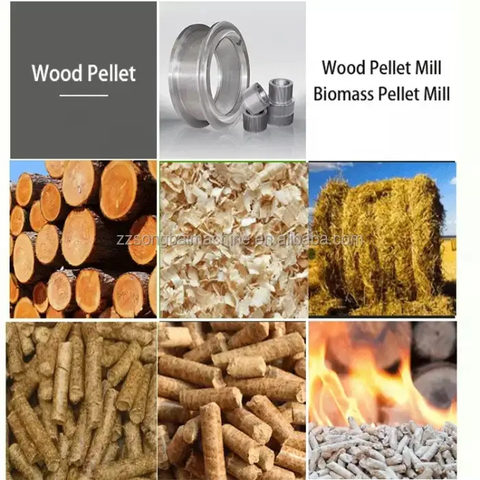 Biomass Small Wood Pellet Maker Wood Pellets Making Plants Sawdust Pellet Press Machine for Fuel Burner