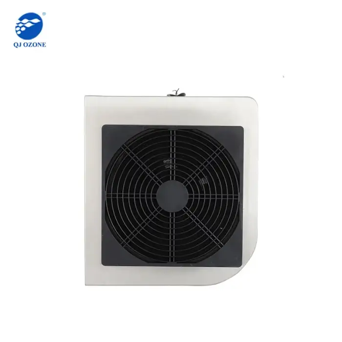 5g Wall Mounted Ozone Generator Air Purifier Virus Killing Air Cleaner for Home and Commercial Use