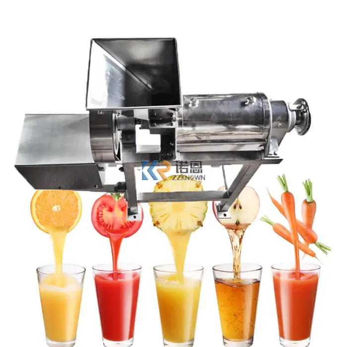 Electric Screw Fruit and Vegetable Press Juicer Extractor Machine