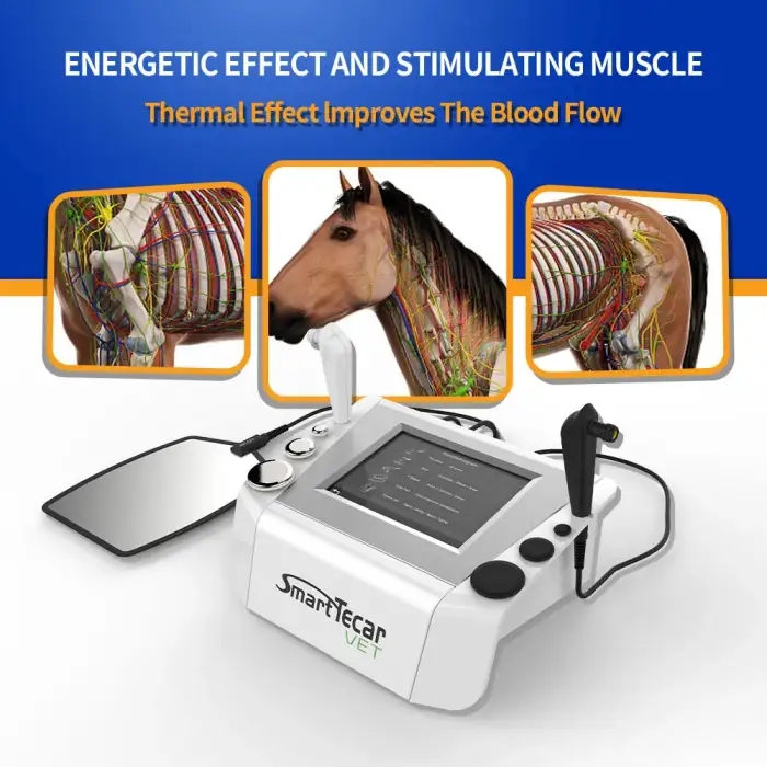 448khz Cet Ret Tecar Animal Diathermy Thermal Pain Relief Machine