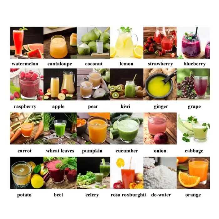 Peach Grape Passion Orange Guava Juice Multi Fruit Juicer Extractor Machine Screw Press Juicer