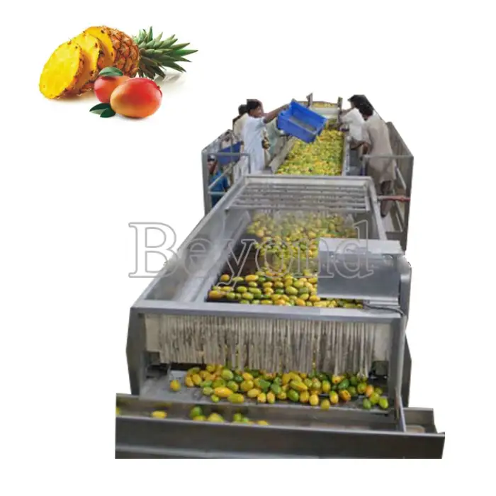 Pineapple Processing Plant Industrial Pineapple Juicer Machine Extractor Wooden Case Silver Multifunctional Fruit Juice Machine