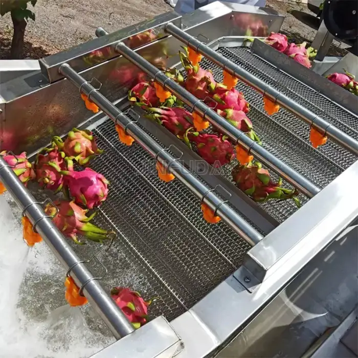 Vegetable and Fruit Washing Machine