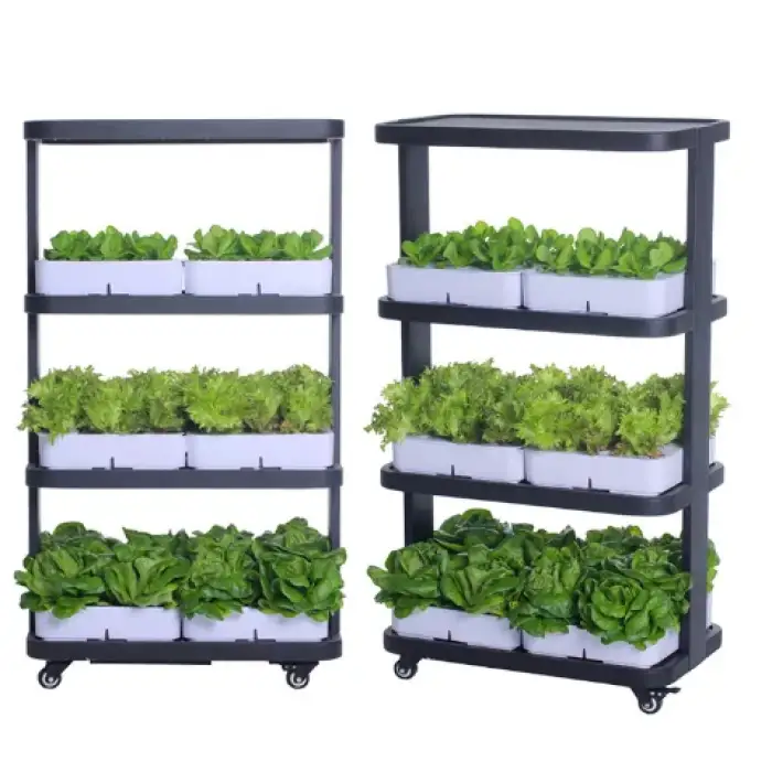 Efficient Greenhouse and Hydroponic Growing System for Indoor Herb Garden with Light