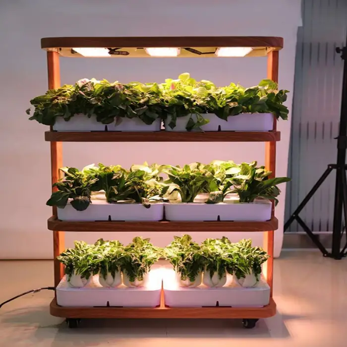 Efficient Greenhouse and Hydroponic Growing System for Indoor Herb Garden with Light