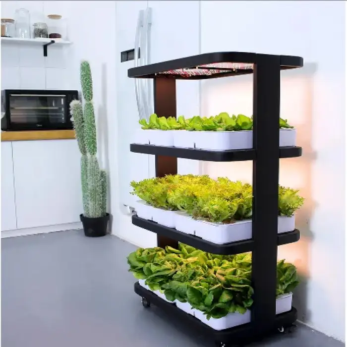 Efficient Greenhouse and Hydroponic Growing System for Indoor Herb Garden with Light