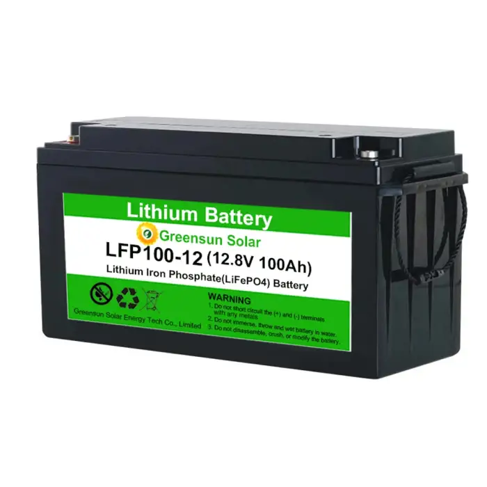 Rechargeable Deep Cycle LiFePO4 12 volt battery lithium 12v 100ah for solar power system