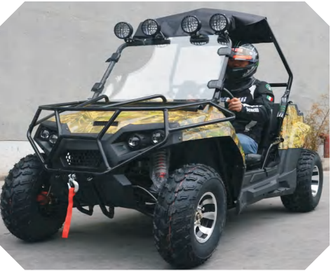 2 Driven 2*4 Chain Drive UTV, Lithium Battery - 60v 30AH 3000W