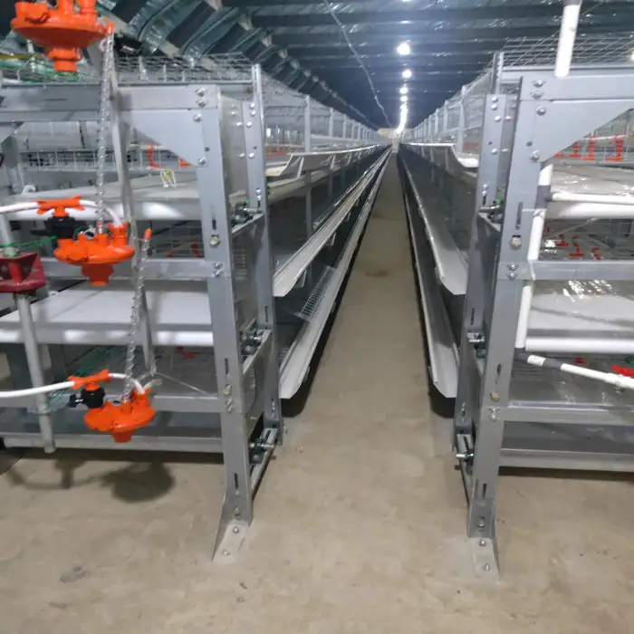 Poultry Farm H type Broiler Chicken Cages Broiler cage