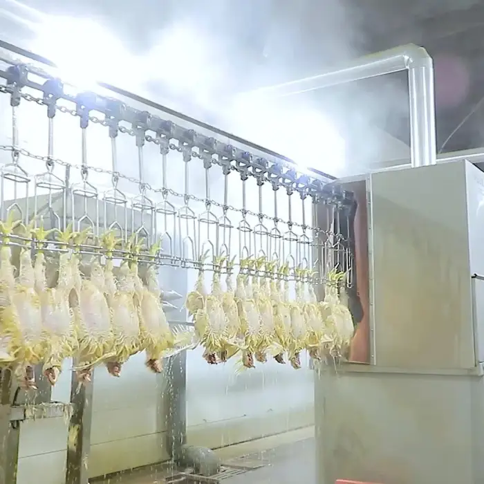 500Bph Chicken Duck Broiler Slaughter Machine in South Africa