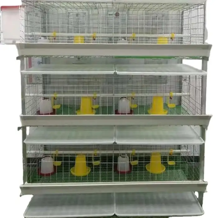 Automatic H type Broiler Chicken Cage with Poultry Farming Equipment for Animal Poultry Husbandry Livestock