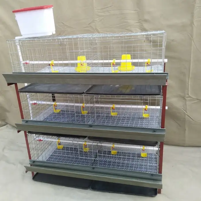 Automatic Broiler Chicken Cage with Poultry Farming Equipment for Animal Poultry Husbandry Livestock