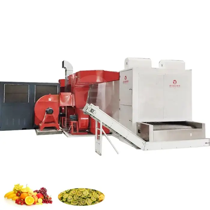 Automatic Fruit Dry Machine Continuous Belt Avocado Peach Apricot Plum Drying Machine