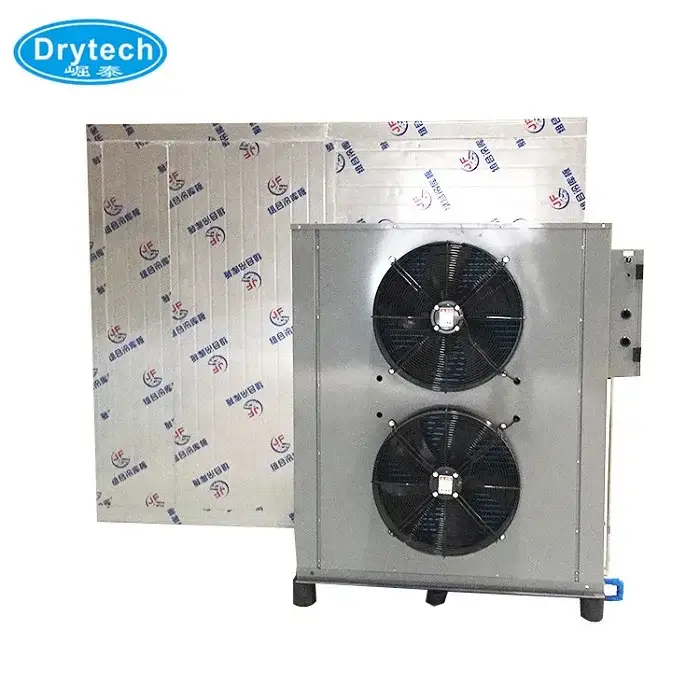 Electric Fruit Dryer,Coconut Drying Machine Fruit Dry Machine