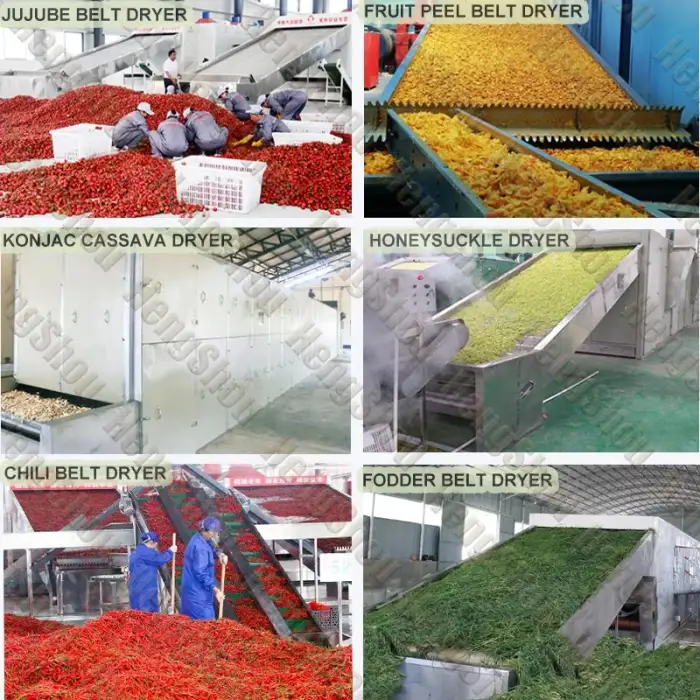 High Quality Fruit Dry Machine Apple Kiwi Pineapples Avocado Fruit Chips Drying Machine