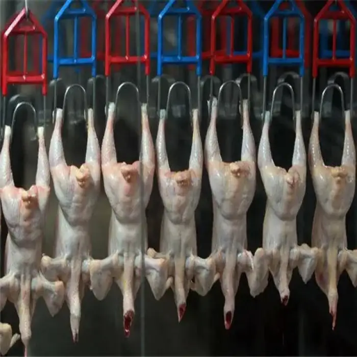 Complete chicken slaughter line chicken broiler butchery equipment