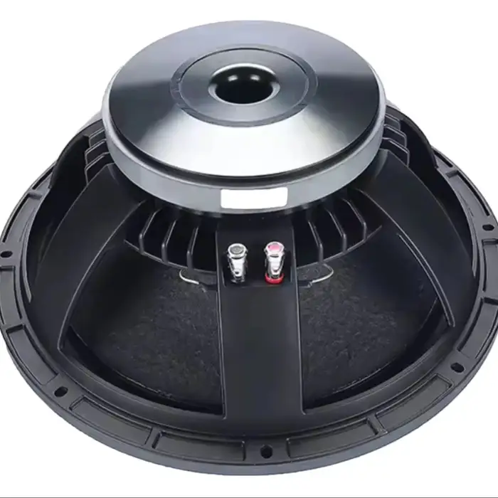 Wholesale 15 inch Woofer  Nominal Impedance 8ohm RMS 500W Professional Speakers