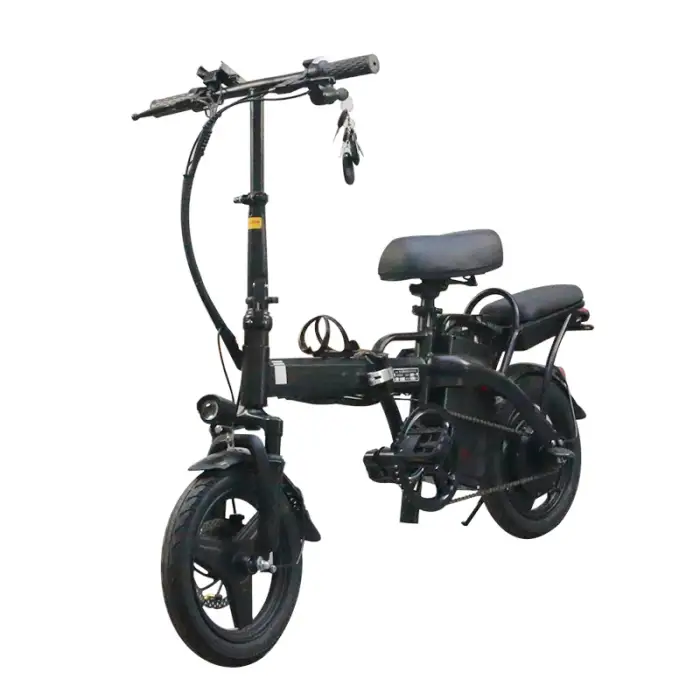 2023 48V Electric Bike – 250W Foldable E-Bike for Men and Women