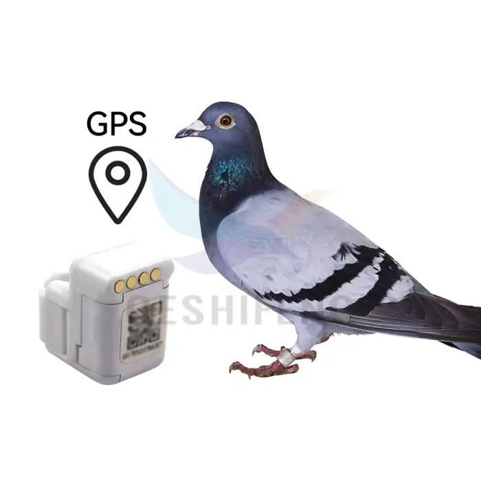 anneaux avec gps pour oiseaux mini birds gps tracker ring parrot canary track gps piogeon for small bird