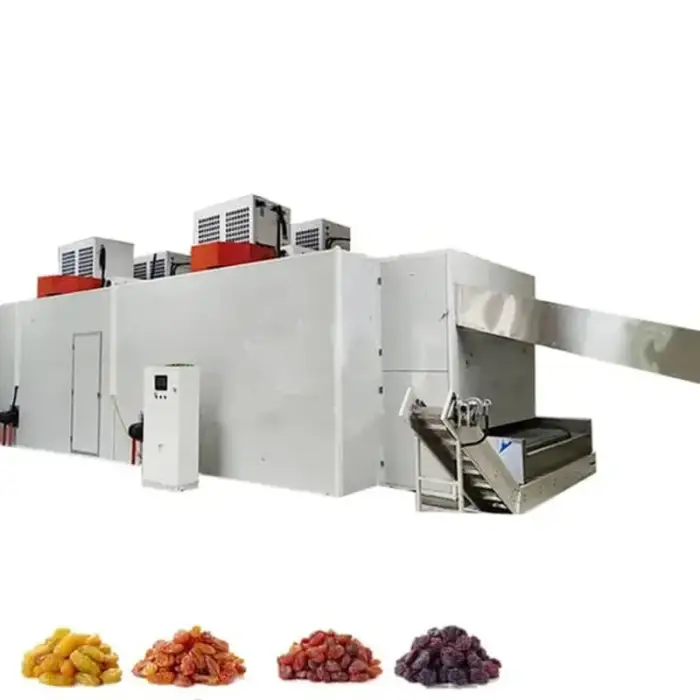 Dried Dry Candied Fruit Cutter Cutting Machine Mango Atchar Cutting Machine