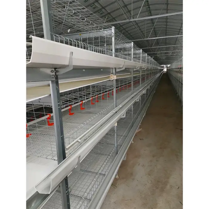 Layer chicken coops for sale chicken coop for sale online chicken house cage chicken coop