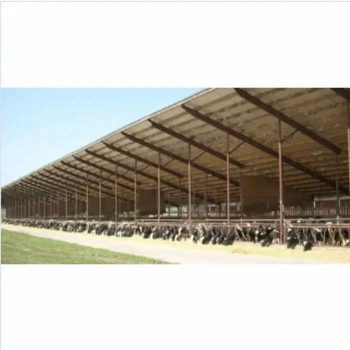 Fast Steel Structure Poultry Coop Construction Commercial Chicken Coop Prefabricated Chicken Coop