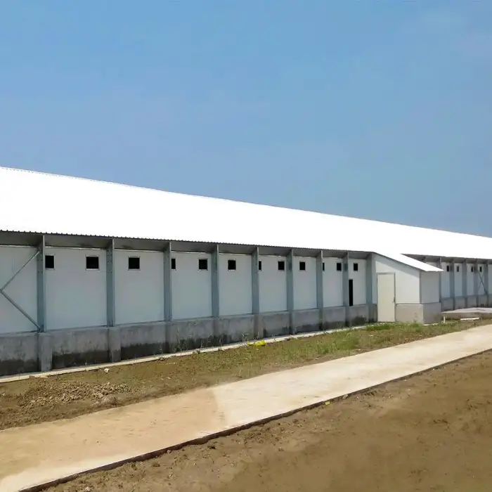 Steel structure building chicken shed poultry farm mobile chicken house