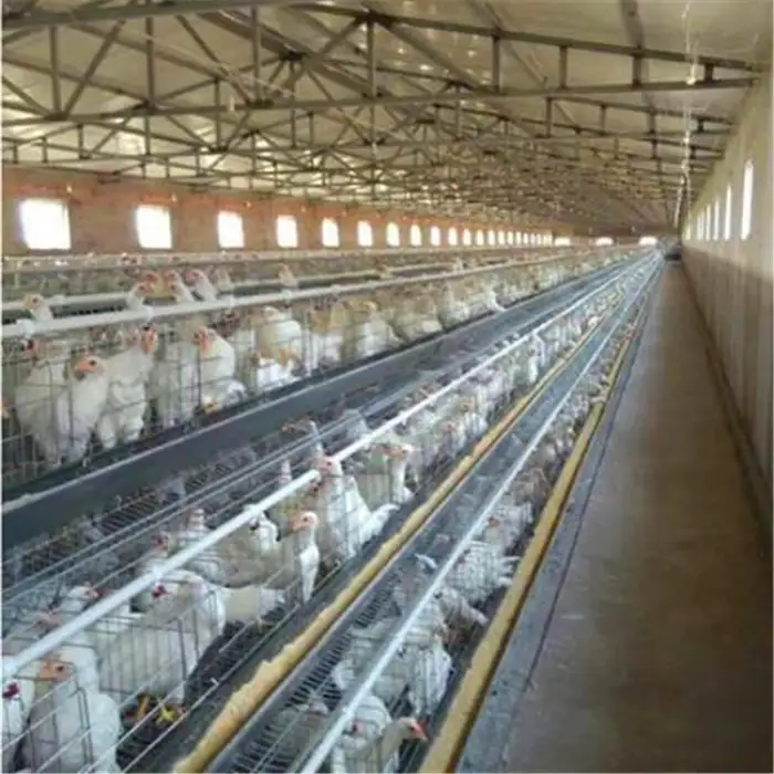 Automatic Industrial Cheap Layer Large Portable Chicken Coop House Layer Cage for Laying Hens Run Coop Metal Hot