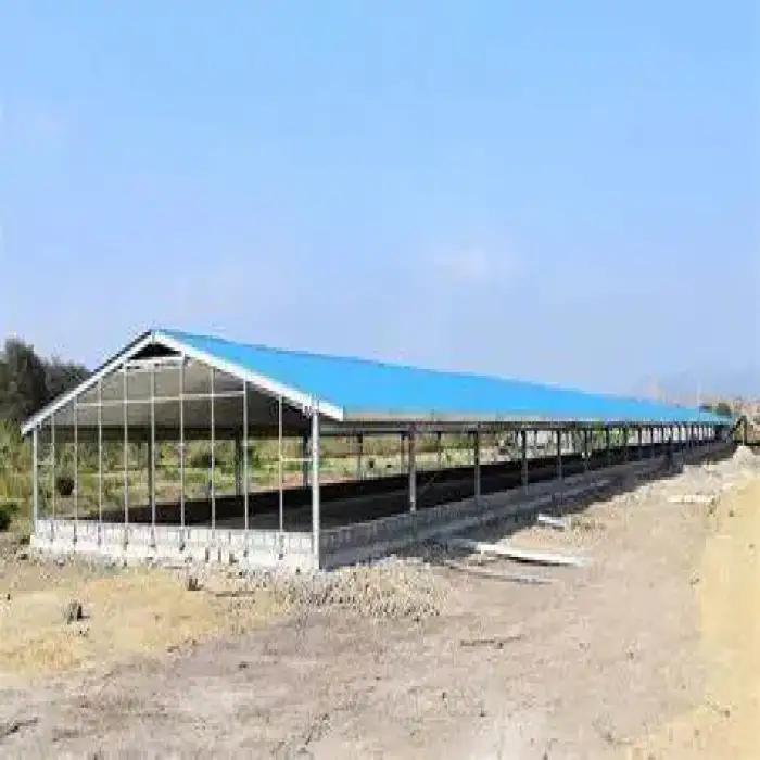 Structure Prefabricated Chicken House Poultry Farm Prefab Steel Motor  Provided Mobile Chicken Coop Automatic