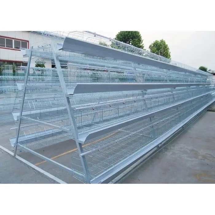 Simple design of layer cages for chickens animal cages chickens wooden chicken coop