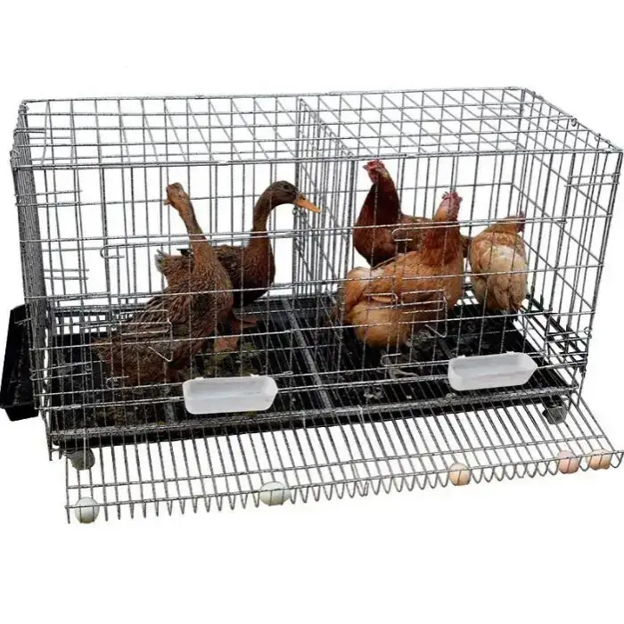 chicken house cage chicken coop chicken cages egg layer automatic