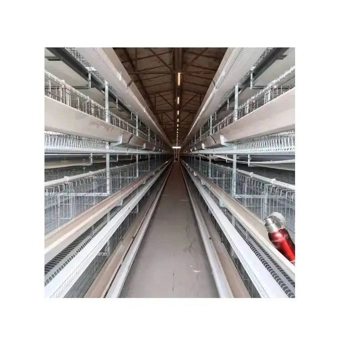 Automatic Poultry H-Shaped Full Automatic Chicken Layer Cage For Chicken Coop