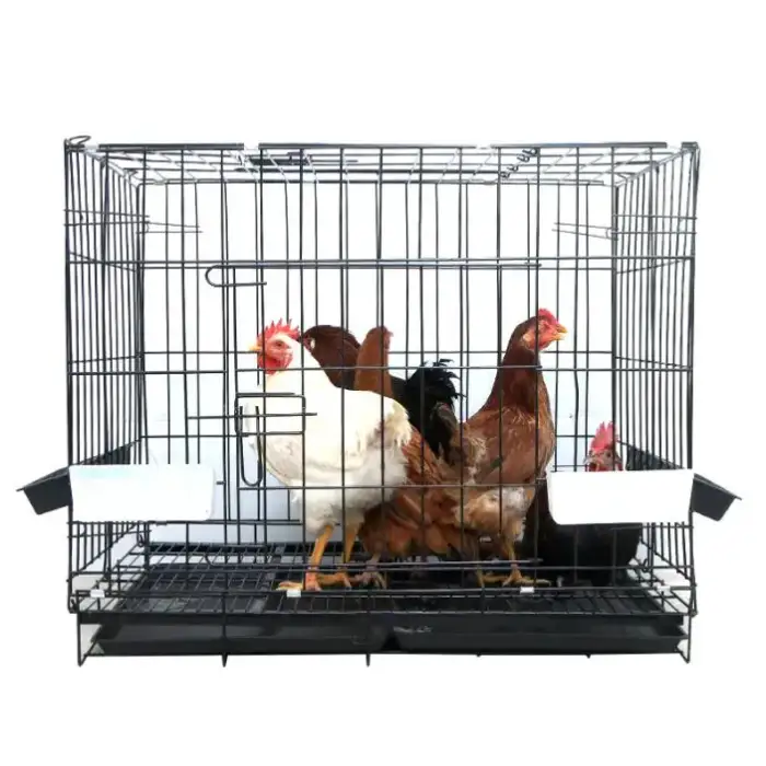 chicken house cage chicken coop chicken cages egg layer automatic