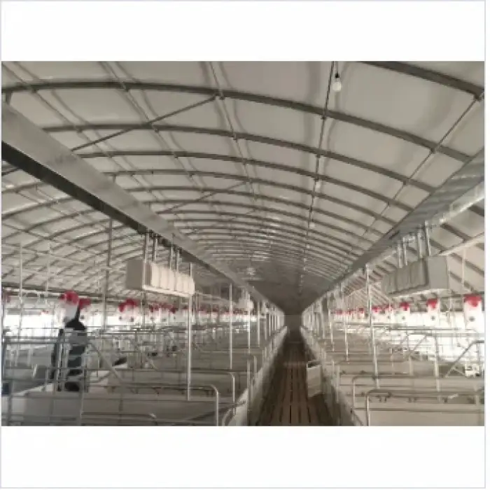 Prefabricated structure building warehouse, chicken coop, steel structure house