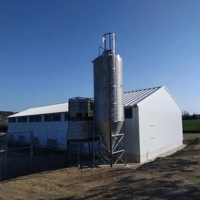 Chicken Feed Storage Poultry Farm Feed Bins Grain Storage Silo For  Farm