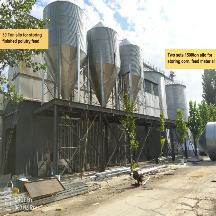 Poultry Farm Used Chicken Feed Silo 50 ton With Hot Galvanized Steel Sheet