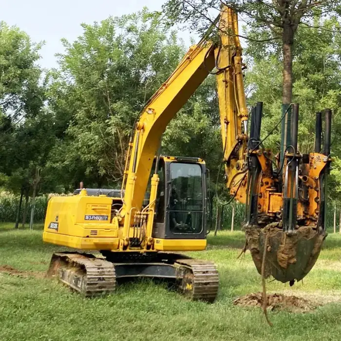 Optimal C50-4 tree's seedling transplanting