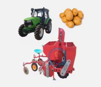 garlic potato seeders transplanters/potato planting sowing machine/potato planter