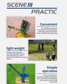 Use Rice Transplanter 2Rows 4Rows 6Rows Hand Push Walk Behind Seeder Manual Rice Planting Machine Paddy Transplanter