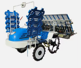 Chalion 6 Rows 8 Rows Rice Planting Machine Price Agricultural Riding Rice Transplanter Paddy Rice Transplanter