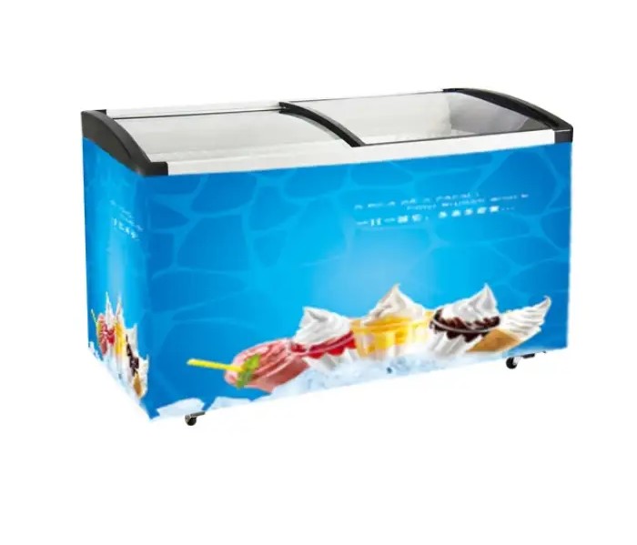 SCD-248 Refrigerator Display Freezer for Frozen Food with Plain Glass Door Mobile Home Use