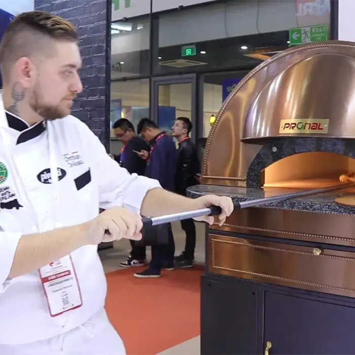 450 Degree Electric Dome Brick Pizza Oven