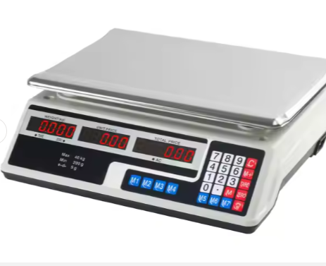 Digital Supermarket Pricing Weighing Scale (30kg)