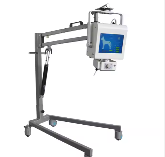 Digital Portable X-Ray Machine with DR Panel for Radiography Imaging Diagnosis