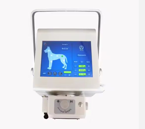 Digital Portable X-Ray Machine with DR Panel for Radiography Imaging Diagnosis