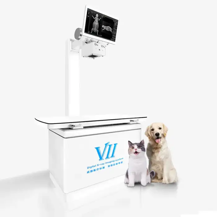 Vet X-Ray Machine Affordable Options on Global Digital Export Service Platform