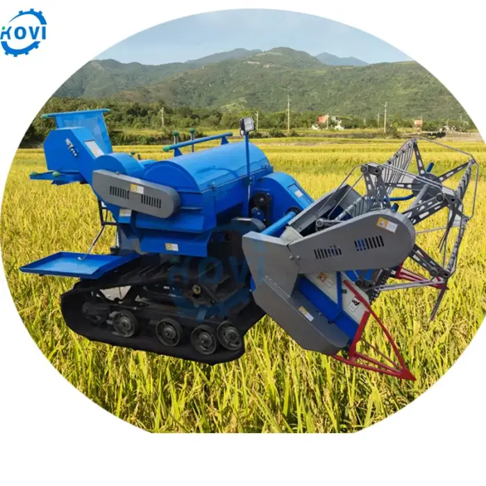 Paddy Rice Harvesting Machinery - Combine Cutter and Rapeseed Harvester Machine