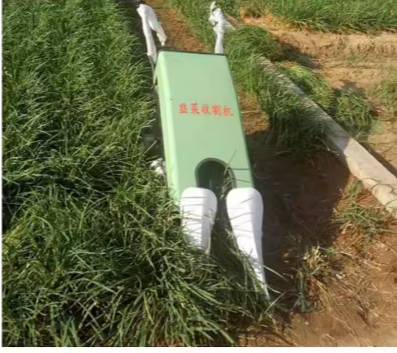 Harvester Machine - Small Type for Sale, Celery and Parsley Reaping