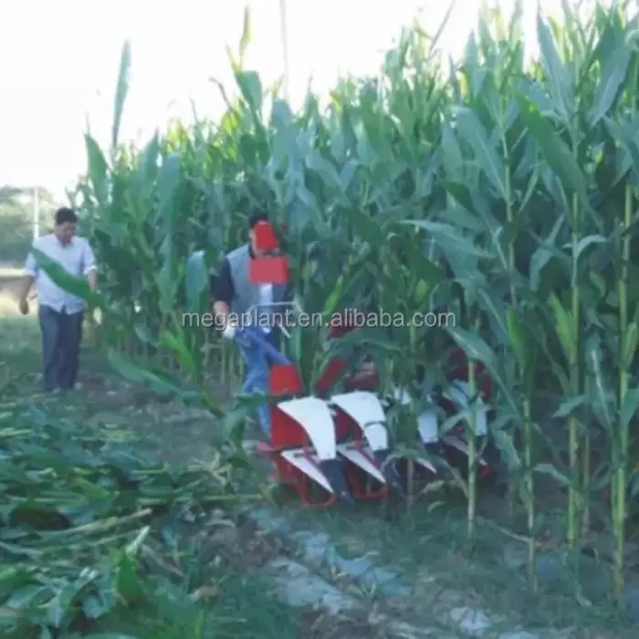 Hand Operated Mini Corn Silage Harvester Machine - Sale Price Available