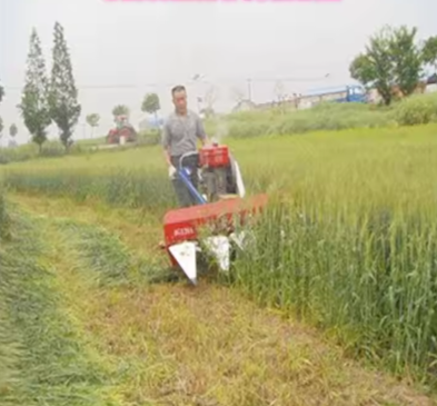 Hand Operated Mini Corn Silage Harvester Machine - Sale Price Available